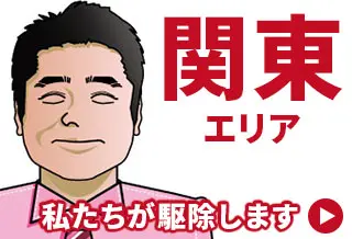 害獣・害虫駆除専門業者【全国対応】 関東エリアブログ